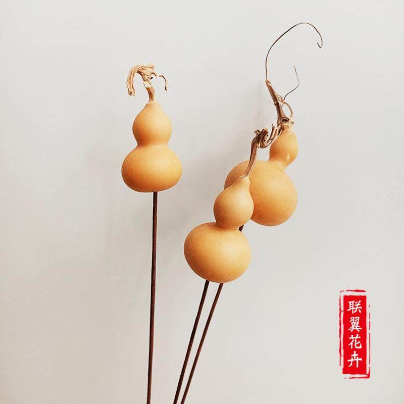 拍摄道具家居插花 软装材料真花葫芦干花 铁杆葫芦喻意福禄安康,家居饰品,餐桌花艺,淘宝优惠券,粉丝福利购,淘宝优惠卷