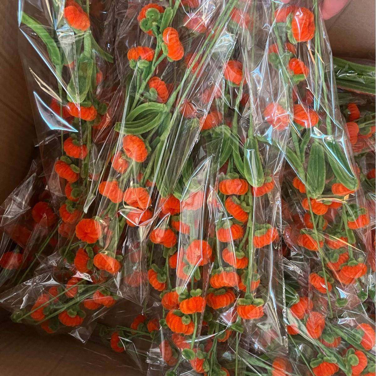 成品柿柿如意扭扭棒diy创意手工礼物作业加密花束柿子节日花束,家居饰品,餐桌花艺,淘宝优惠券,粉丝福利购,淘宝优惠卷