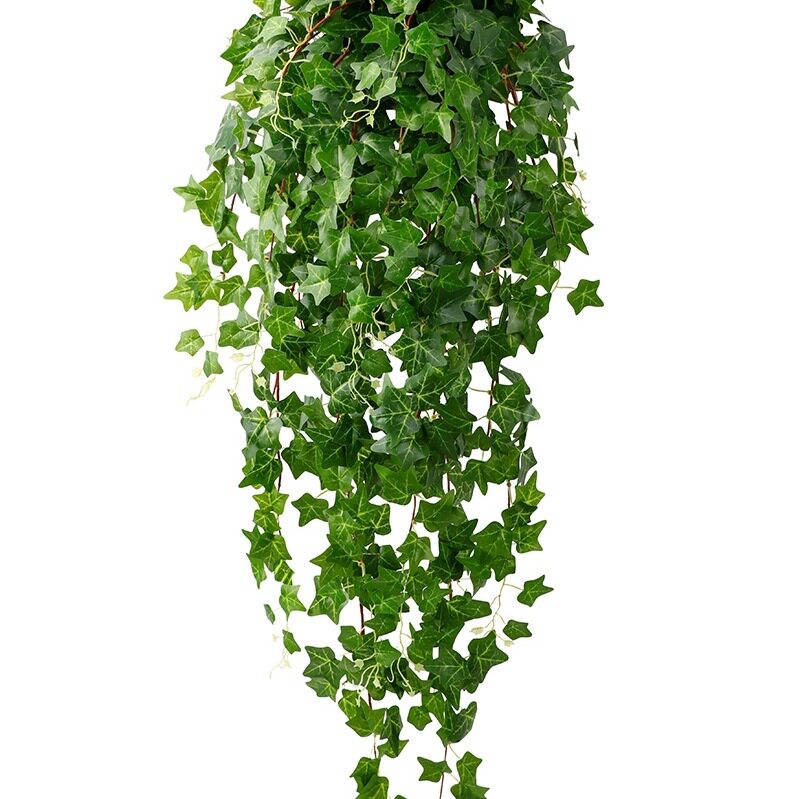 爬山虎壁挂装饰藤蔓绿植塑料花藤植物绿叶假花藤条吊兰挂壁