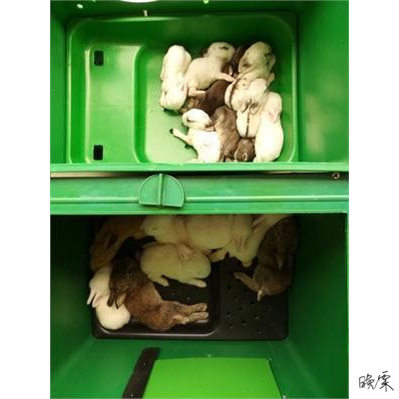 塑料产箱兔子产窝母兔产仔新型成活率养殖箱子产房大空间兔笼