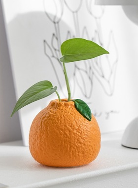 陶瓷小花瓶水培植物绿萝铜钱草鲜花插花器皿客厅桌面装饰创意摆件