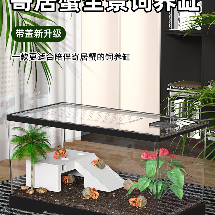 螃蟹缸造景小别墅饲养箱寄居蟹小宠物亚克力带爬台躲避乌龟饲养缸