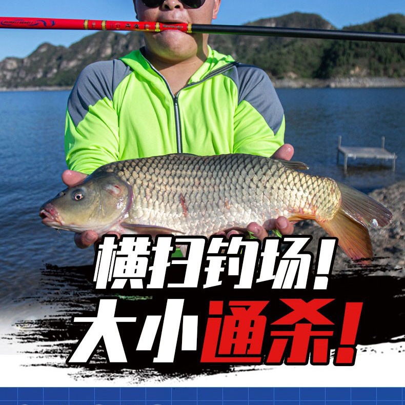19调3米台钓鱼竿手竿碳素硬鲤鱼杆综合传统野钓大物