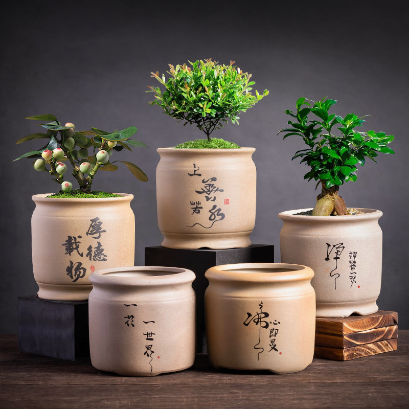 速发中花国创意室内桌面多肉花盆老桩发财树绿萝吊兰陶瓷大号陶土