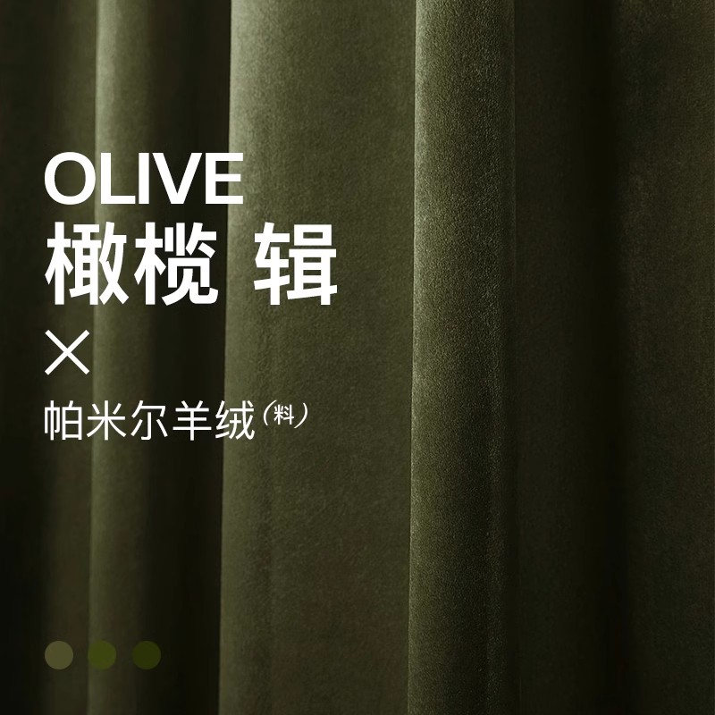 速发辑/5 橄榄绿室绿色丝绒窗帘复奢轻古202年新款客厅卧墨遮光绒