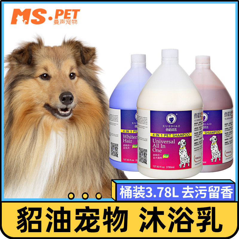 速发雪貂留金.78L大桶萨摩耶泰毛香迪通用型洗澡浴液用品