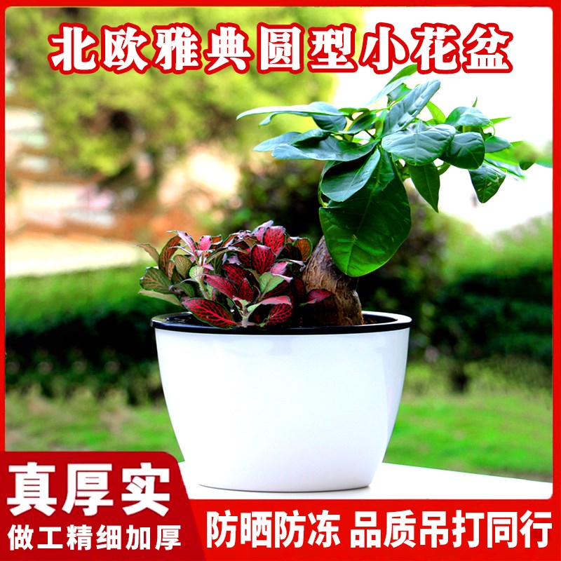 速发免浇台花盆自吸水懒人绿萝月季椭圆盆肉加仑盆塑料水兰花多栽