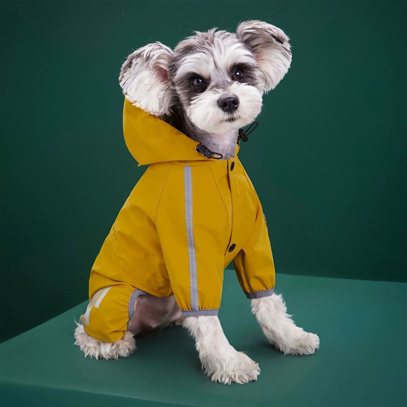 速发雨衣全包四迪防水雨披型脚博美雨天衣服中小泰犬雨衣厂家
