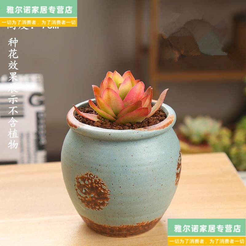 速发多肉花盆陶瓷园艺陶瓷迷你小新品创意粗陶复居新品瓷罐子盆器