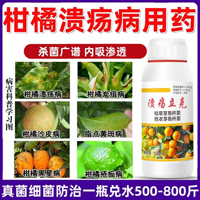 柑橘溃疡病杀菌药柑橘沙皮病番茄火龙果芒果葡萄溃疡腐烂细菌穿孔