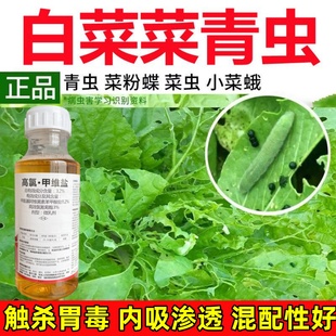 白菜杀虫剂正品农药大全杀虫药菜青虫卷叶暝打白菜地虫子除虫药剂