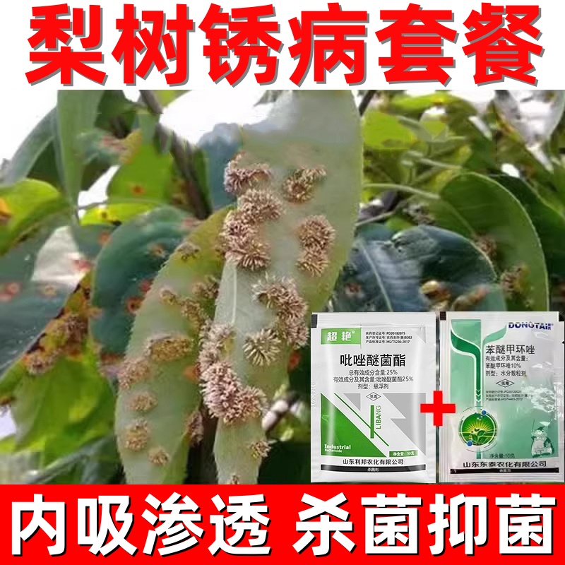梨树锈病杀菌梨树铁锈病黄点黄叶羊胡子病白粉病梨树病害杀菌剂