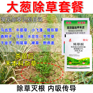 大葱苗后除草剂除草烂根牛筋草马苋齿小飞蓬专杀顽固性杂草除草剂