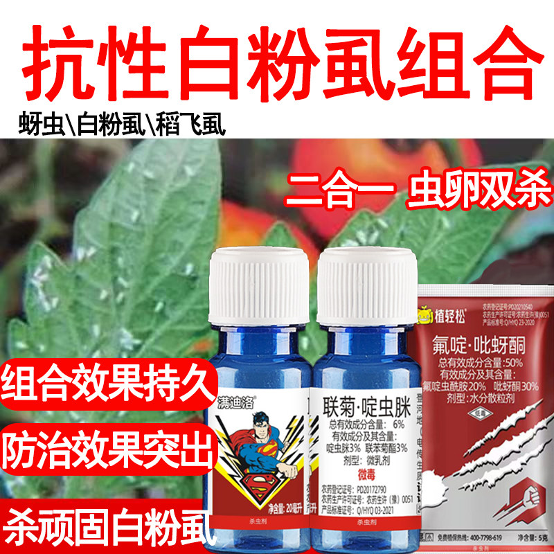白粉虱杀虫剂蚜虫杀虫杀卵农药