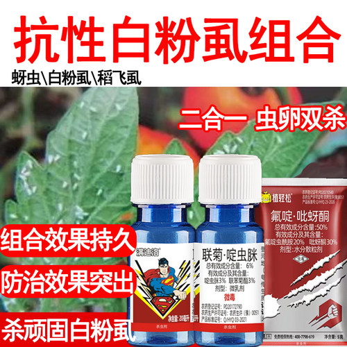 白粉虱杀虫剂蚜虫杀虫杀卵农药