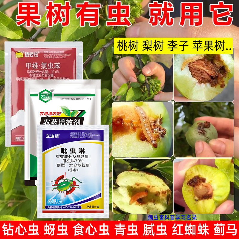 钻心虫白粉虱腻虫打虫除虫药