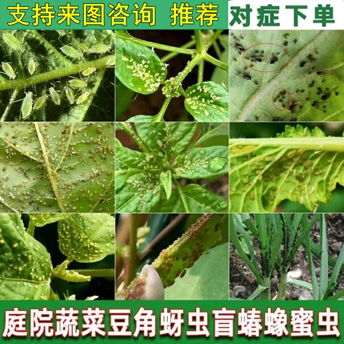 蔬菜杀虫剂豆角辣椒白菜茄子蚜虫蜜虫白粉虱小黑飞蔬菜杀虫剂正品