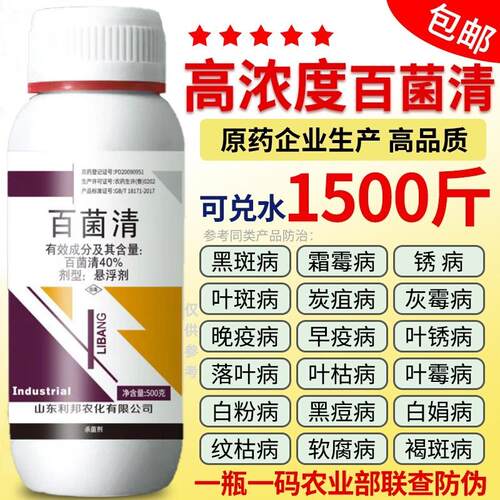 百菌清杀菌剂果树蔬菜花卉疫病白粉病炭疽病霜霉锈病灰霉农药