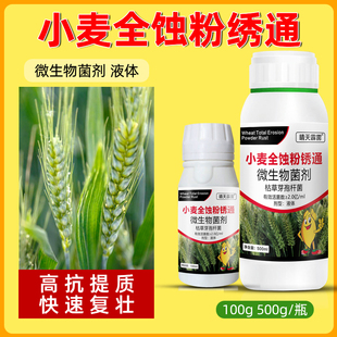 小麦黄叶烂根黑穗病根腐病赤霉病全蚀病小麦病害通用药微生物菌剂