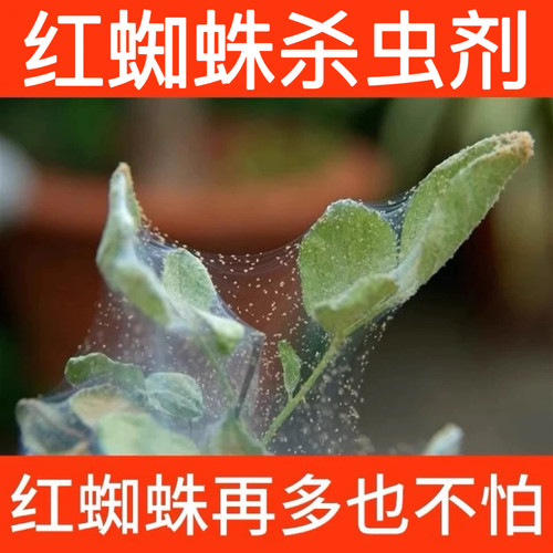 红蜘蛛杀虫剂蔬菜果树植物白粉虱蚜虫腻虫黄甲跳虫农药杀虫剂正品