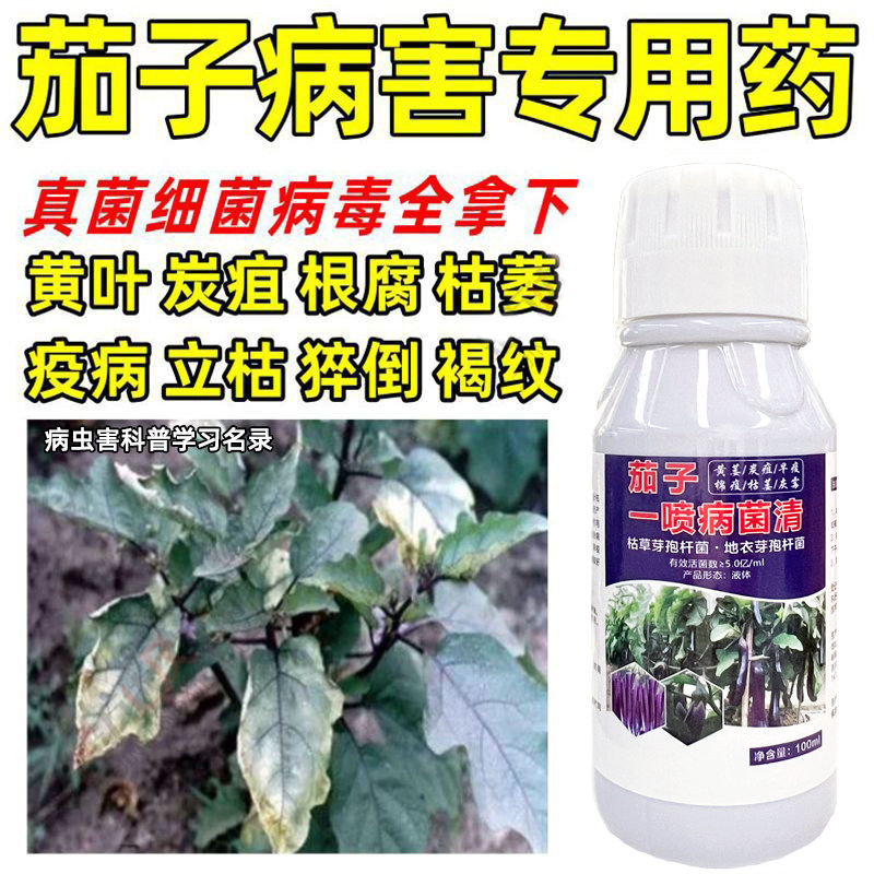 茄子黄萎病专用药茄子霜霉病软腐病灰霉病炭疽病枯萎病茄子病菌清