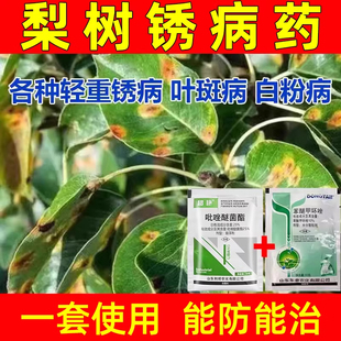 梨树锈病梨树杀菌剂梨锈病褐斑病轮纹病炭疽病农药梨树病害杀菌药
