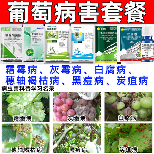 葡萄病害杀菌组合套餐花前花后病虫害防治烂果炭疽病蚜虫腻虫通用