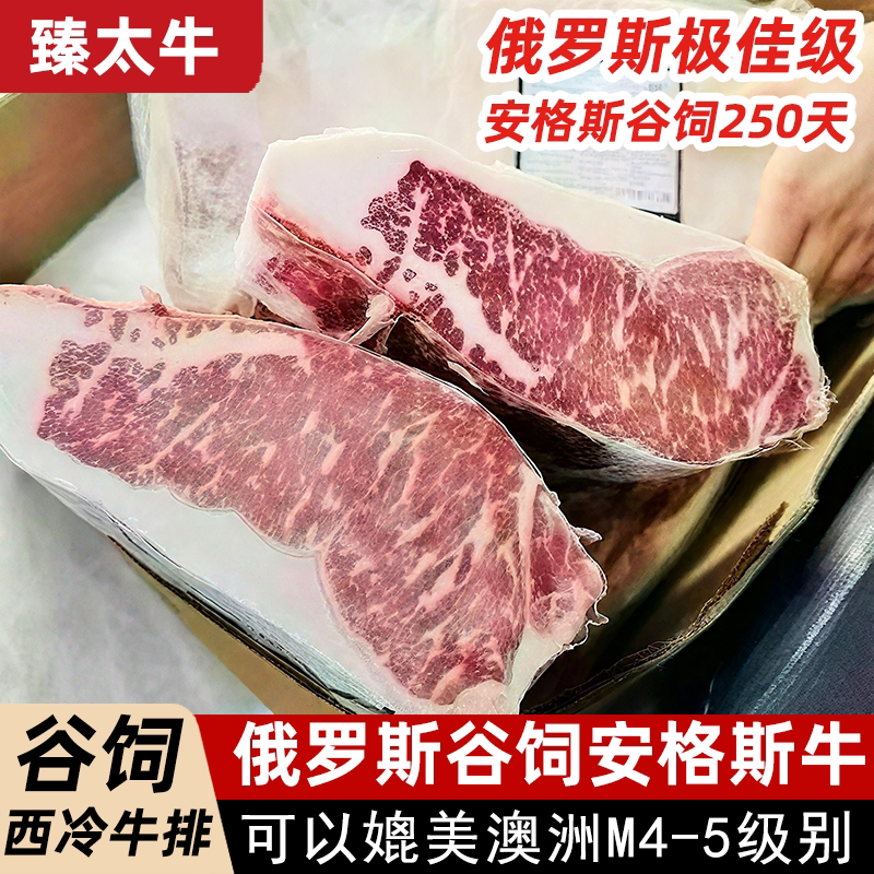俄罗斯安格斯谷饲250天西冷牛排