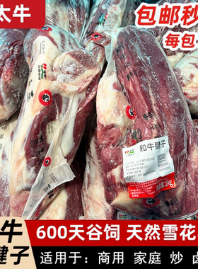 元盛龙江和牛牛腱子1kg