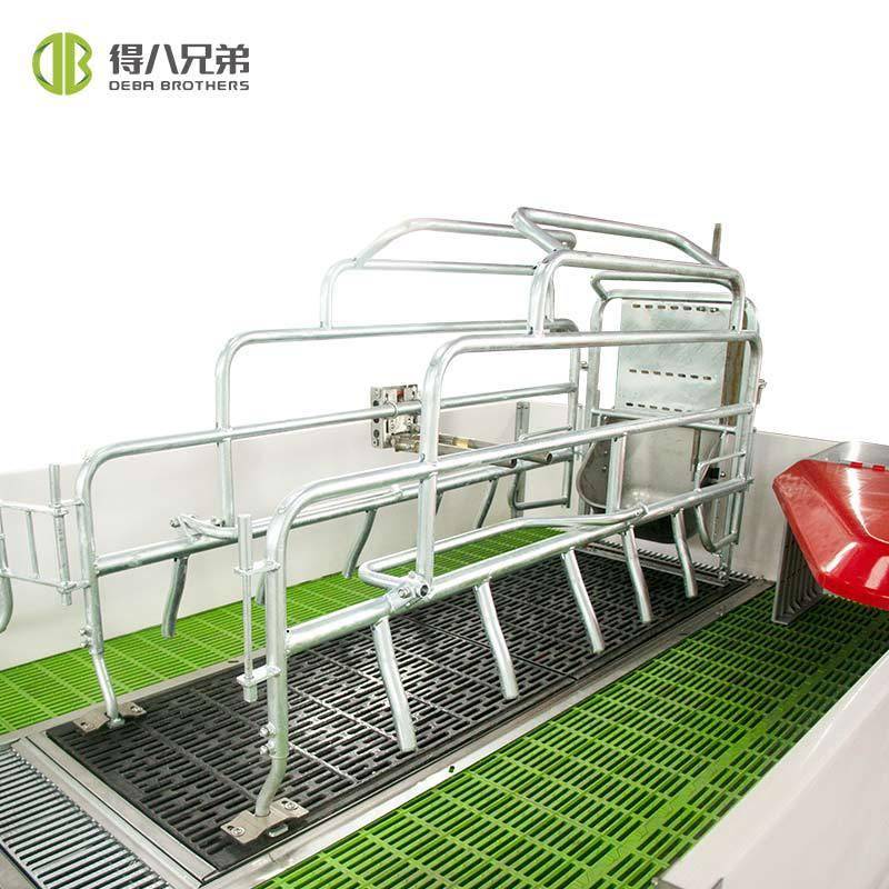 新型猪场升降产床可调高度分娩床热镀锌管母猪产床防压栏保育