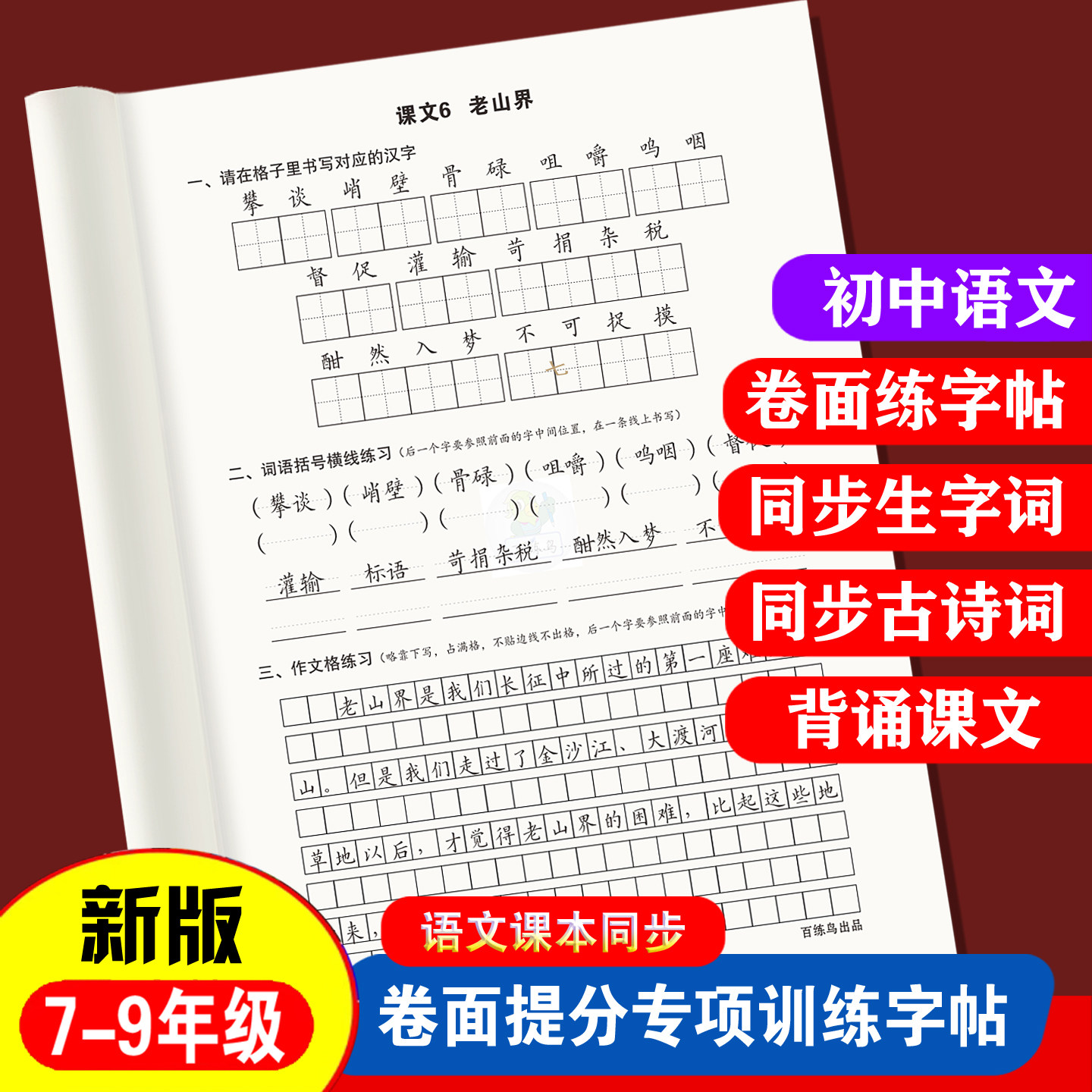 初中语文同步卷面快写练字帖