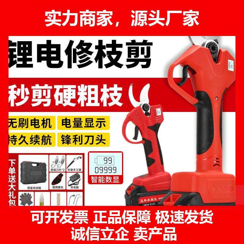 德国十大品牌电动剪刀果树修枝剪绿化园林剪刀加长杆剪枝神器