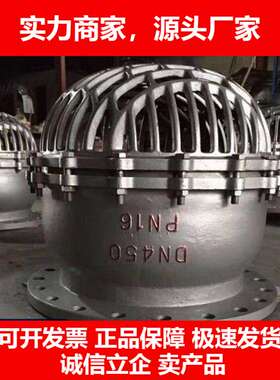 德国十大品牌SSDF水上式底阀大口径焊接水泵止回阀水泵龙头碳钢不