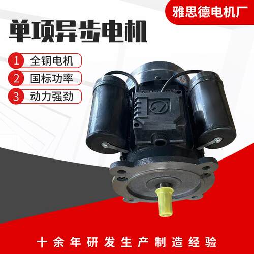 YL100LZSD204单相电动机4级3.K机械设备用单0相电动机220V140转