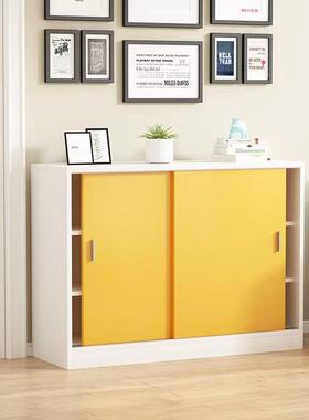 新款门阳台防晒飘窗柜储物地柜819柜推拉门矮柜收移纳置物柜餐柜