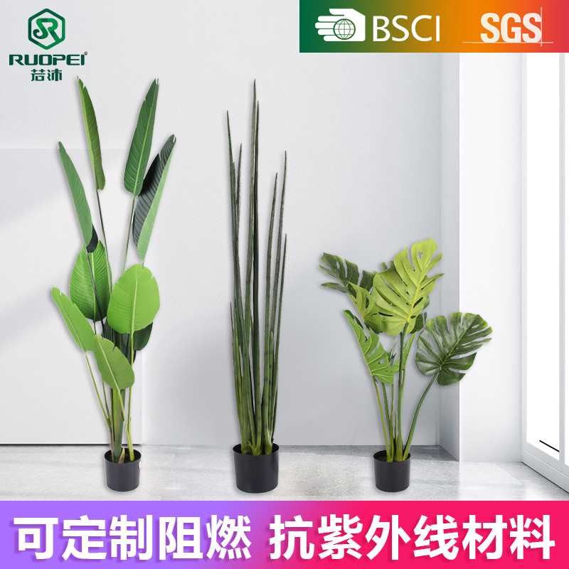 仿真绿植盆栽绿萝创意树盆景摆件尤加利叶假树人造北欧旅人蕉植物