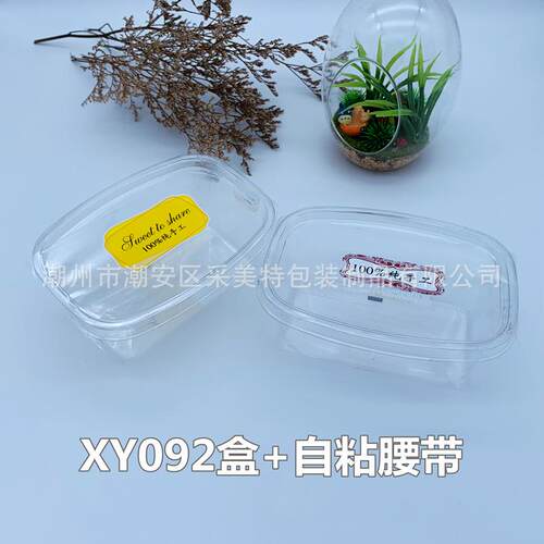 XY0M92水果沙拉雪糕冰淇淋300L全透明盒蛋糕盒配料打1包盒40XAA0