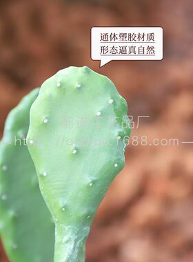 厂沙生物景植人造仙FSJSI-29人观掌仿真莱昂仙人掌绿植盆家栽假植
