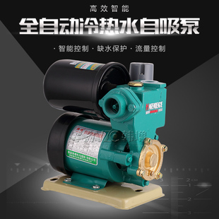 增压泵抽水机吸水泵 韩增家用全自动自吸泵冷热水自来水管道泵M