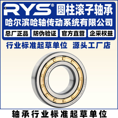 RYS哈轴传动圆柱滚子轴承