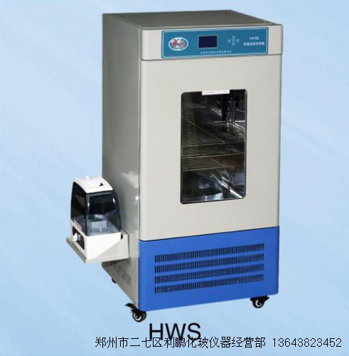 恒温恒湿培养箱 HWS-250 培养箱 化玻仪器 北京中兴