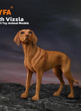 Y/FA模玩16维兹拉犬真狗模型48695维斯拉犬犬车载摆件维仿希拉猎V