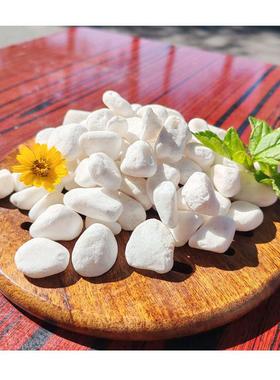 白色莞塑·STY20241惠州胶花厂直供彩鹅卵石色仿真盆景上盆装饰专