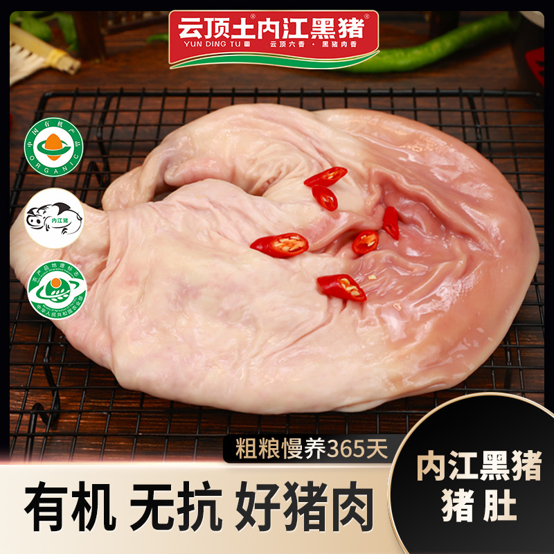 云顶土内江黑猪 内江黑猪新鲜猪肚猪小肚生猪肚【纯种内江猪】