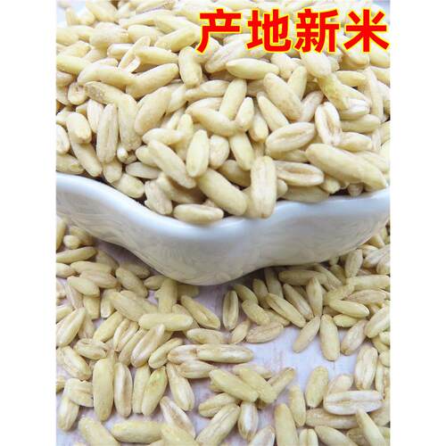 生燕麦米2025年新米全胚芽五谷杂粮破壁去皮商用张家口燕麦5斤