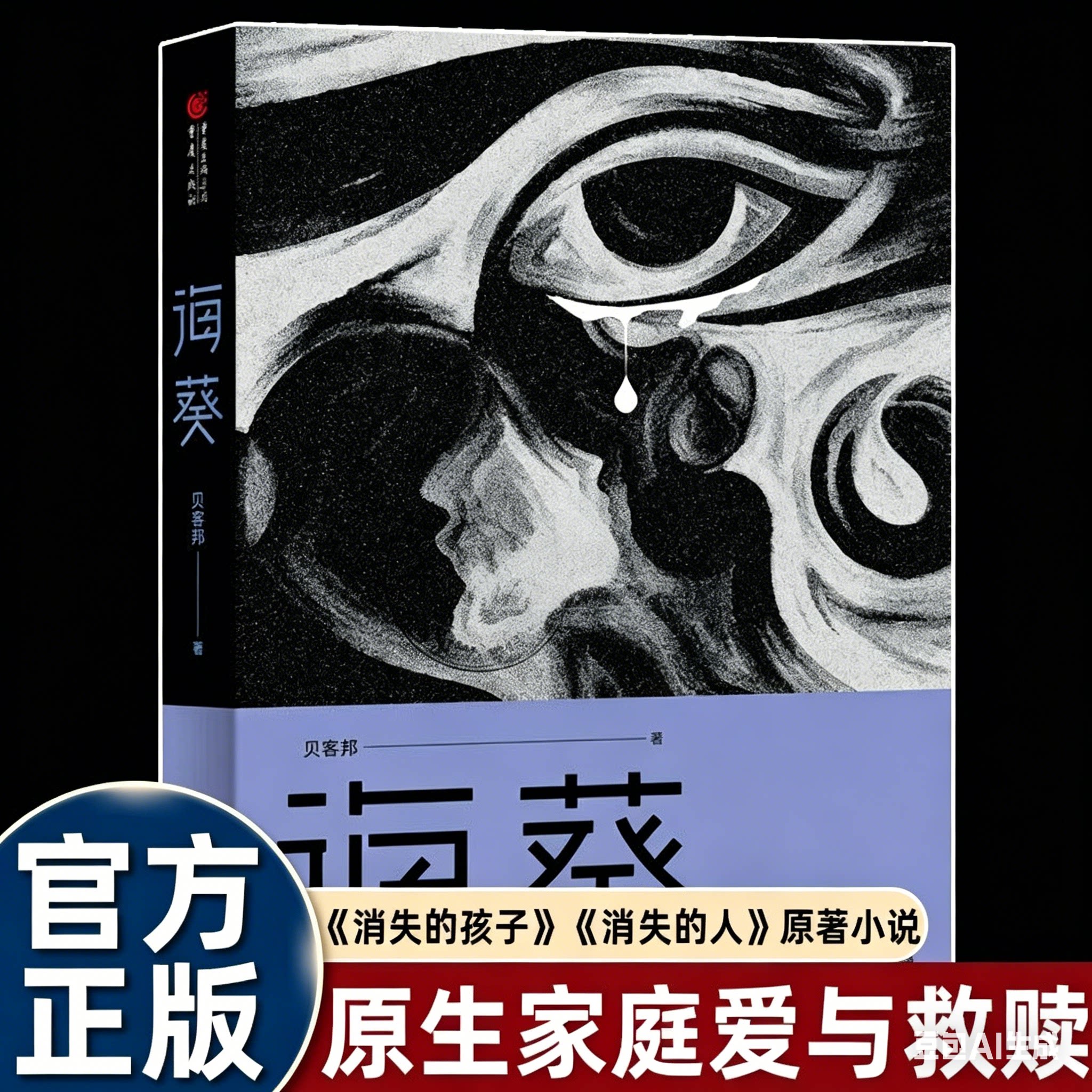 海葵小说 贝客邦著 郑恺刘浩存主演电影消失的人原著小说 消失的孩子原著 豆瓣阅读征文大赛 小雅奖 侦探悬疑推理小说畅销书排行榜图片
