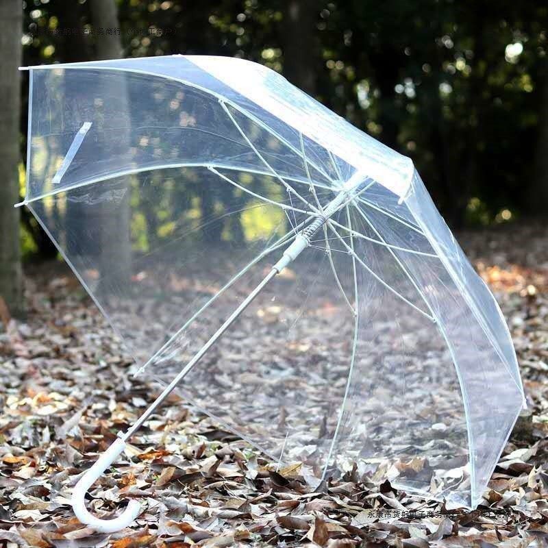 16骨超高颜值网红拍照神器纯透明雨伞自动长柄透明伞白色透明雨伞