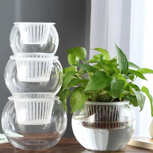 #创意水培瓶植物透明塑料花瓶容器绿萝花盆鱼花共养缸水养摆件器