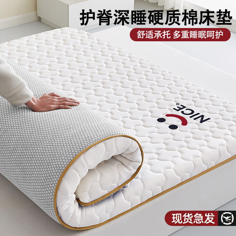 家用卧室床垫学生宿舍床垫软垫出租房专用单双人床软垫四季通用款