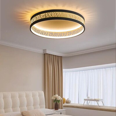 跨境吸灯20顶23智能创意鸟巢新卧室灯轻奢时尚圆形房年间灯款9986